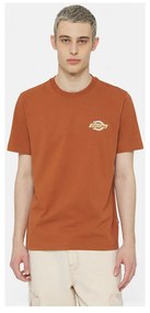 T-shirts & Polos Dickies  Ss ruston tee