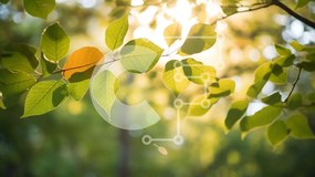 Intra Συλλεκτικό Ξύλινο Παζλ Plywood 4mm - Πράσινα φύλλα σε κλαδί δέντρου με το φως του ήλιου Σε Ξύλινο Κουτί - Διαστάσεις: 10x10 cm – 25 κομμάτια