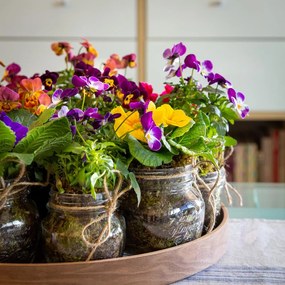 Βάζο Τροφίμων 700 4stagioni - Bormioli - 6 ΤΜΧ