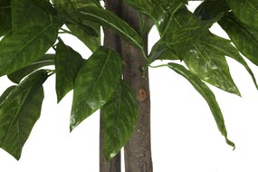 Δέντρο Home ESPRIT πολυεστέρας Ξύλο 100 x 100 x 185 cm