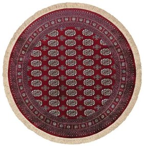 ΧΑΛΙ SONIA 248/301220 R - 160X160  NewPlan