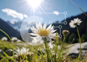 Intra Συλλεκτικό Ξύλινο Παζλ Plywood 4mm - Λευκό λουλούδι μαργαρίτας στο λιβάδι Σε Ξύλινο Κουτί - Διαστάσεις: 10x10 cm – 25 κομμάτια