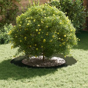 vidaXL Flat Tree Ring 5 τμχ, Ελιά Ø60/90 εκ., Σίδερο