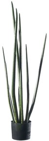 Τεχνητό Φυτό Σανσεβιέρα Cylindrica 9901-6 22x26x105cm Green Supergreens Polyester,Plastic