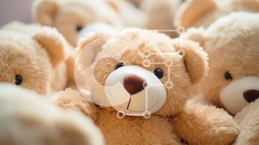 Intra Συλλεκτικό Ξύλινο Παζλ Plywood  4mm - Ομάδα αρκουδιών Σε Ξύλινο Κουτί - Διαστάσεις: 10x10 cm – 25 κομμάτια