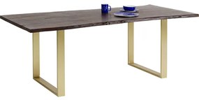 Τραπέζι Harmony Ακακία Σκούρο Καφέ-Χρυσό 160x80x76εκ - Χρυσό