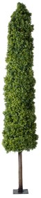 GloboStar® Artificial Garden BUXUS 20158 Τεχνητό Διακοσμητικό Φυτό Πυξός Υ250cm