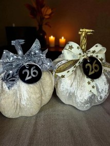 Κολοκύθα Εκρού βελούδινη μεγάλη - Ασημί