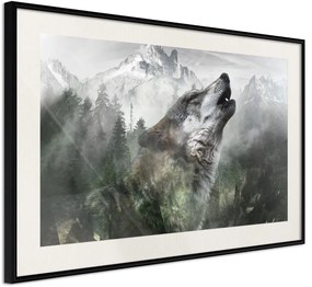 Αφίσα - Wolf's Territory - 90x60 - Μαύρο - Με πασπαρτού