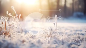 Intra Συλλεκτικό Ξύλινο Παζλ Plywood 4mm - Winter Wonderland: A Serene Scene of Snowy Fields and Frosty Trees Σε Ξύλινο Κουτί - Διαστάσεις: 10x10 cm – 25 κομμάτια