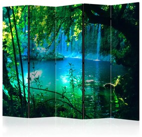 Διαχωριστικό με 5 τμήματα - Kursunlu Waterfalls II [Room Dividers] 225x172