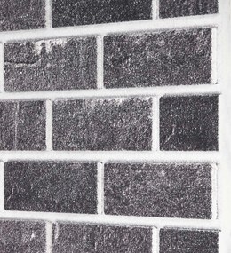vidaXL Πάνελ τοίχου 10 pcs Μαύρο και Γκρι 100 x 50 cm Αφρός EPS