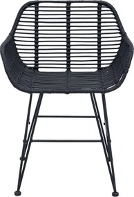 vidaXL Καρέκλα τραπεζαρίας 2 pcs Καλάμι και Σίδερο Μαύρο
