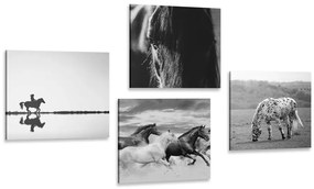 Σετ εικόνων για τους λάτρεις των αλόγων σε ασπρόμαυρο - 4x 60x60