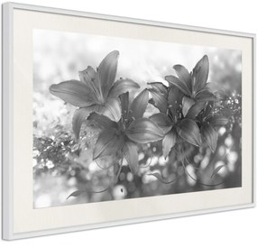 Αφίσα - Dark Lillies - 45x30 - Μαύρο - Χωρίς πασπαρτού