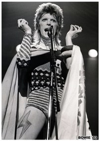 Αφίσα David Bowie - Ziggy Stardust 1973, (59.4 x 84.1 cm)