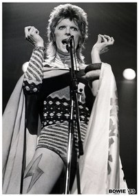 Αφίσα David Bowie - Ziggy Stardust 1973