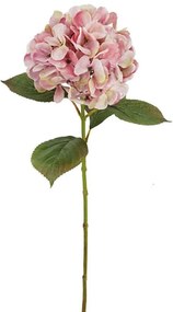 Τεχνητό Λουλούδι Ορτανσία 00-00-18745-5 60cm Pink Marhome Συνθετικό Υλικό