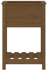 Ζαρντινιέρα με Ράφι Μελί 54x34,5x81 εκ. από Μασίφ Ξύλο Πεύκου - Καφέ