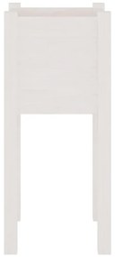 Ζαρντινιέρα Λευκή 31 x 31 x 70 εκ. από Μασίφ Ξύλο Πεύκου - Λευκό