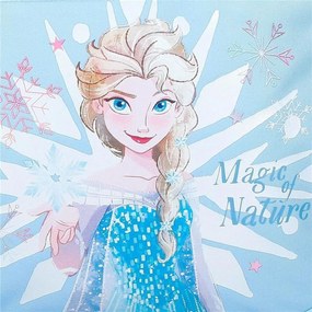 Κασετίνα Disney Frozen Μπλε