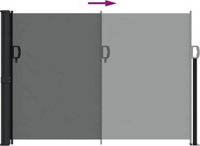 vidaXL Πτυσσόμενη Πλαϊνή Τέντα Ανθρακί 140x600 εκ.