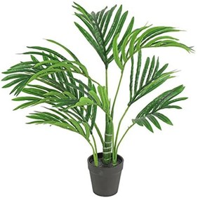 Διακοσμητικό Φυτό Σε Γλάστρα Kentia S 35x45x50cm Green Πολυαιθυλένιο