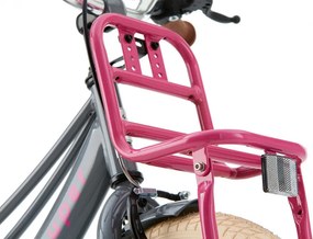 Lola 16 Inch 25,4 cm Girls Coaster Brake Pink/Grey