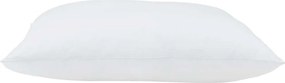 vidaXL Μαξιλάρι 2 pcs Λευκό 51 x 51 x 20 εκ Βαμβάκι και Πολυεστέρας