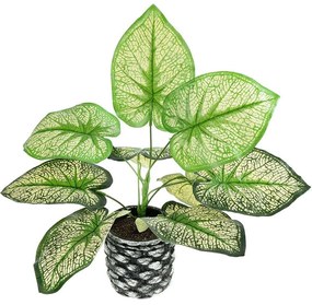 Τεχνητό Φυτό Σε Κασπώ Caladium 20889 Φ40x33cm Green-Grey GloboStar Πολυαιθυλένιο,Ύφασμα