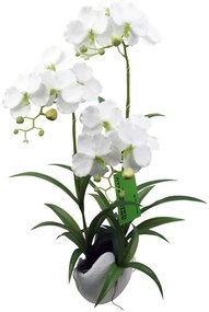 Supergreens Τεχνητό Φυτό Ορχιδέα Phalaenopsis Λευκό 57 εκ.