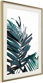 Αφίσα - Evergreen Palm Leaves - 30x45 - Χρυσό - Με πασπαρτού