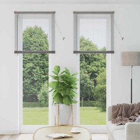 vidaXL Βενετσιάνικες Ρόδες Ασημί 220 x 80 εκ Αλουμίνιο