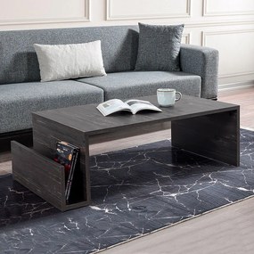 Τραπεζάκι σαλονιού Regnar Megapap χρώμα rebab 100,6x55x31,8εκ.-GP042-0251,1