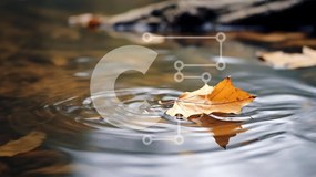 Intra Συλλεκτικό Ξύλινο Παζλ Plywood 4mm - Μονόφυλλο που επιπλέει στο νερό Σε Ξύλινο Κουτί - Διαστάσεις: 10x10 cm – 25 κομμάτια