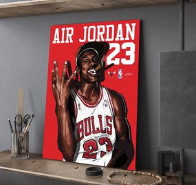 Πίνακας σε καμβά Air Jordan 23 X Bulls KNV1598 80cm x 120cm