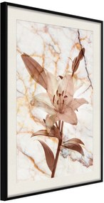 Αφίσα - Lily on Marble Background - 20x30 - Μαύρο - Με πασπαρτού