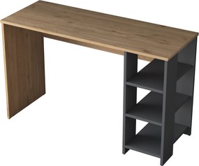 Study Desk HA108 - 2585 Walnut
Anthracite
