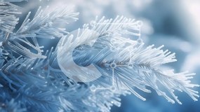 Intra Συλλεκτικό Ξύλινο Παζλ Plywood 4mm - Κοντινό πλάνο του Snowy Branch το χειμώνα Σε Ξύλινο Κουτί - Διαστάσεις: 10x10 cm – 25 κομμάτια