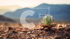 Intra Συλλεκτικό Ξύλινο Παζλ Plywood  4mm - Φυτό Aloe Vera σε ερημικό τοπίο Σε Ξύλινο Κουτί - Διαστάσεις: 10x10 cm – 25 κομμάτια