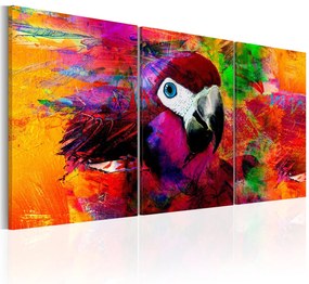 Πίνακας - Jungle of Colours 120x60