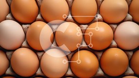 Σετ των 2 Intra Συλλεκτικό Ξύλινο Παζλ Plywood 4mm - Κοντινό πλάνο καφέ αυγών σε ένα χάρτινο κουτί Σε Ξύλινο Κουτί - Διαστάσεις: 10x10 cm – 25 κομμάτια