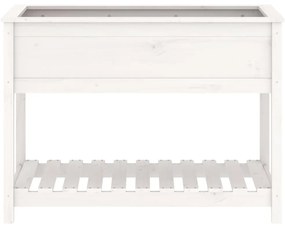 vidaXL Ζαρντινιέρα με Ράφι Λευκή 111,5x54x81 εκ. Μασίφ Ξύλο Πεύκου