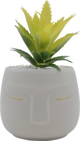 Τεχνητό Φυτό σε Μοντέρνο Κεραμικό Γλαστράκι 12x11x19cm