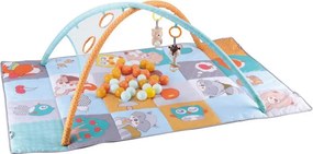 Βρεφικό Γυμναστήριο Bebe Stars Lion Picnic 100-179