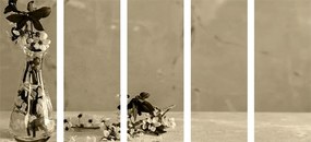 Εικόνα 5 μερών ενός άνθους κερασιάς σε βάζο με σέπια - 100x50