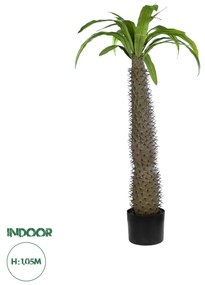 20129 GloboStar® Artificial Garden PACHYPODIUM LAMEREI PALM TREE 20129 Τεχνητό Διακοσμητικό Φυτό Φοίνικας της Μαγαδασκάρης Υ105cm