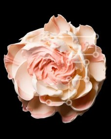 Intra Συλλεκτικό Ξύλινο Παζλ Plywood 4mm - Λευκό λουλούδι με ροζ πάγωμα Σε Ξύλινο Κουτί - Διαστάσεις Puzzle: 10x10 cm – 25 κομμάτια