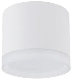 Σποτ Φωτιστικό Οροφής 1xGX53 Downlight Silba Nowodvorski 10476 Λευκό