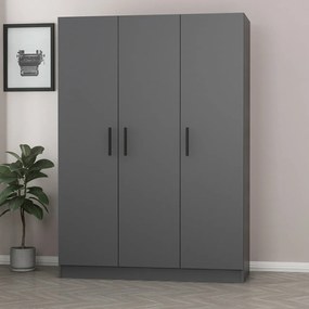 Τριφυλλη Ντουλαπα Ανθρακι KALEO 52x135x190